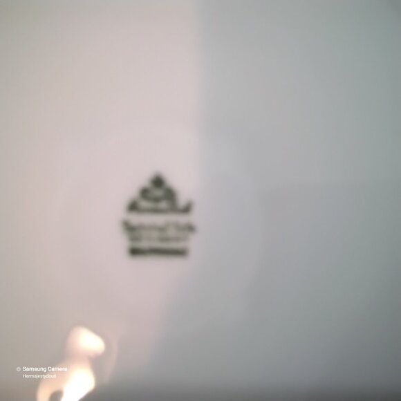 ROSENTHAL Bahnhof Selb Germany "Chippendale" Porcelain Autumn Nature Theme Bowl - Picture 6 of 9